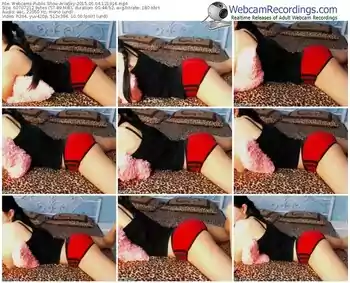 webcams-ariasky-public-show-06_04_2015-12_19_16