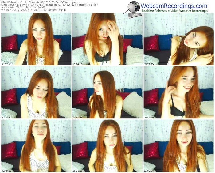 webcams-avag-public-show-06_04_2015-13_59_41