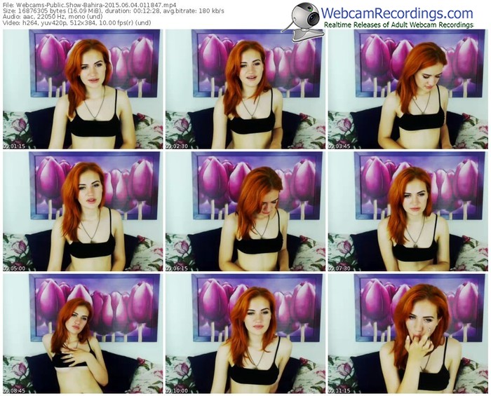 webcams-bahira-public-show-06_04_2015-01_18_47