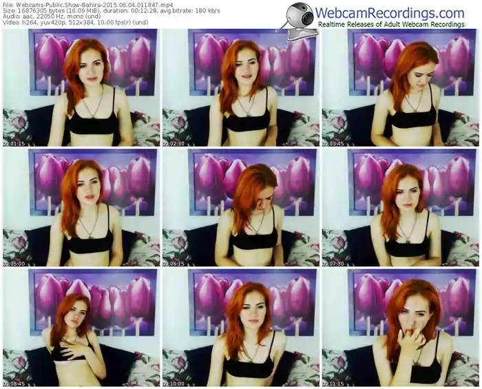 webcams-bahira-public-show-06_04_2015-01_18_47