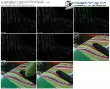 webcams-gatrussian-public-show-06_04_2015-21_48_50