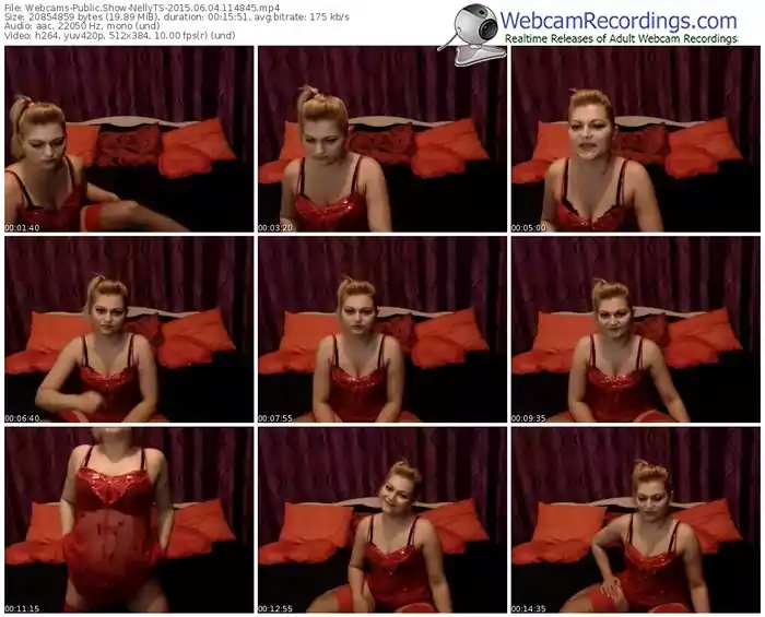 webcams-nellyts-public-show-06_04_2015-11_48_45