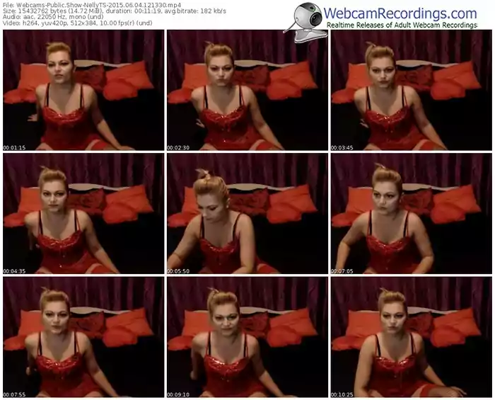 webcams-nellyts-public-show-06_04_2015-12_13_30