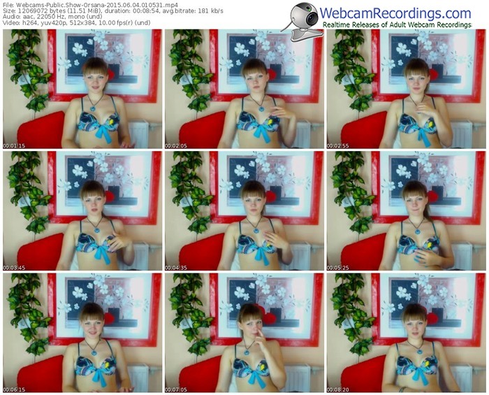 webcams-orsana-public-show-06_04_2015-01_05_31