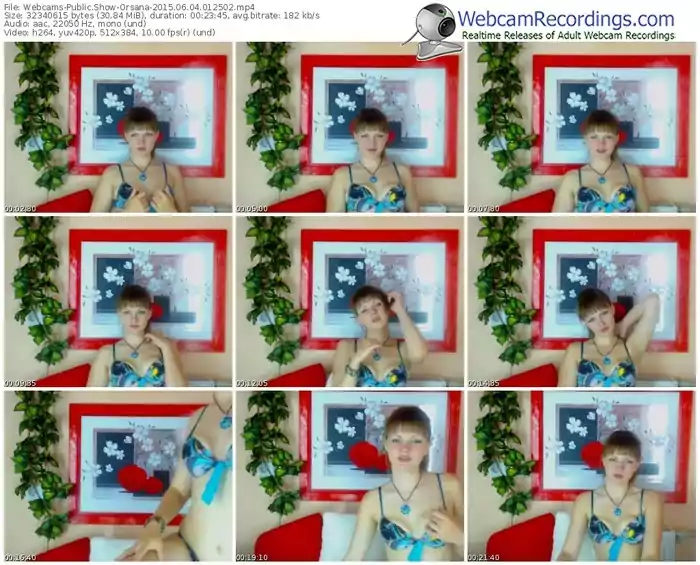 webcams-orsana-public-show-06_04_2015-01_25_02