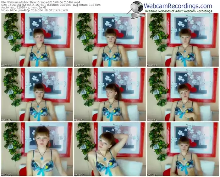 webcams-orsana-public-show-06_04_2015-01_54_04