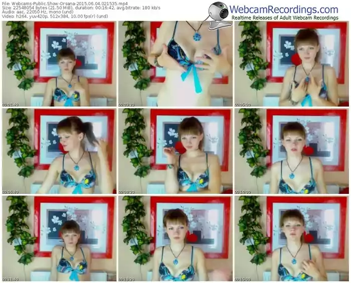 webcams-orsana-public-show-06_04_2015-02_15_35