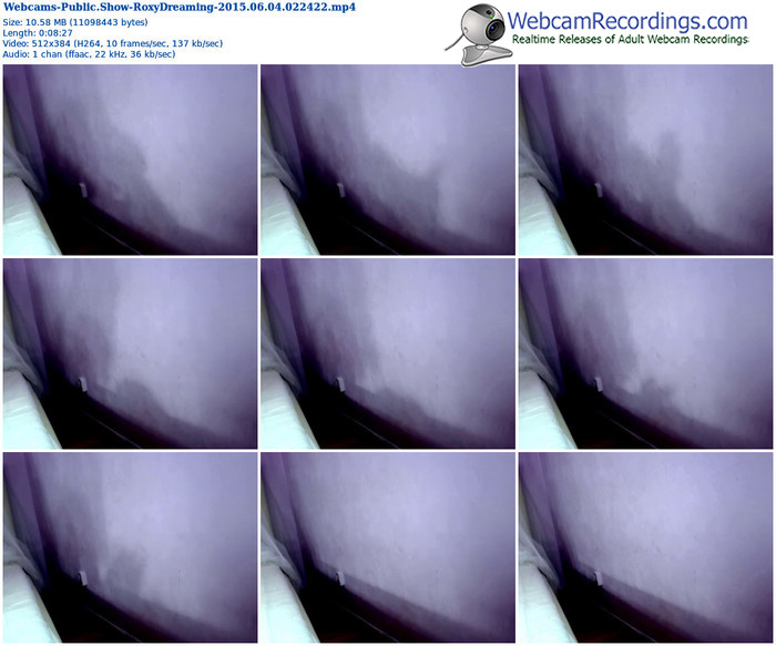 webcams-roxydreaming-public-show-06_04_2015-02_24_22