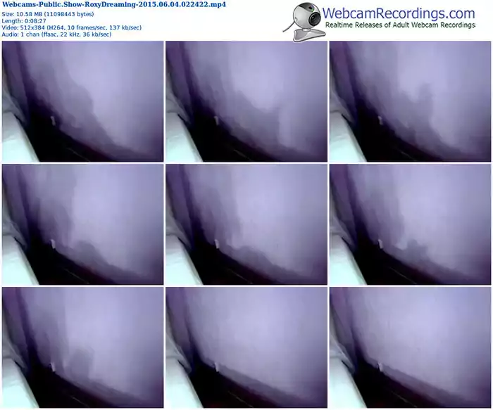 webcams-roxydreaming-public-show-06_04_2015-02_24_22