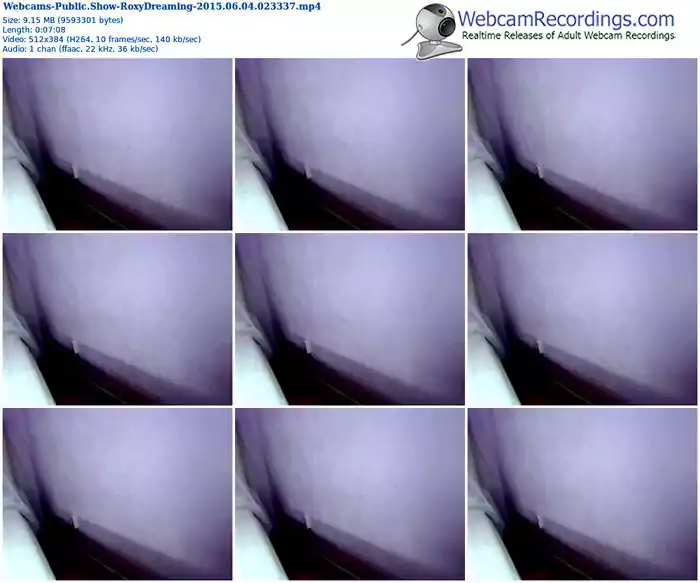webcams-roxydreaming-public-show-06_04_2015-02_33_37