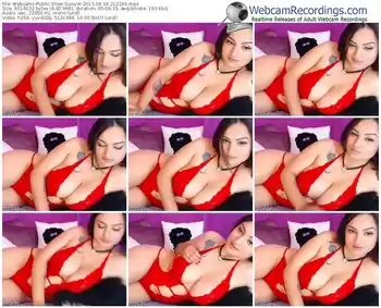 webcams-suisyw-public-show-06_04_2015-21_22_46