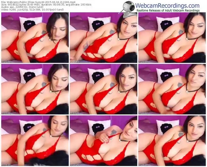 webcams-suisyw-public-show-06_04_2015-21_22_46