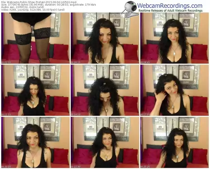 webcams-trishau-public-show-06_04_2015-14_25_02