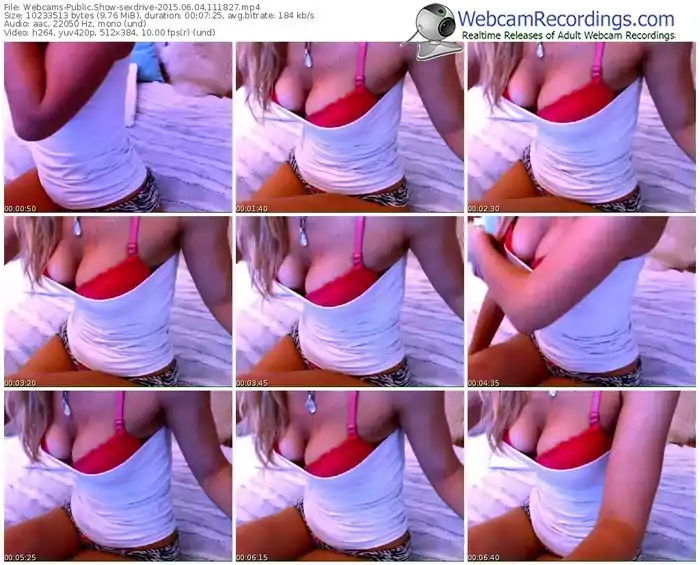 webcams-sexdrive-public-show-06_04_2015-11_18_27