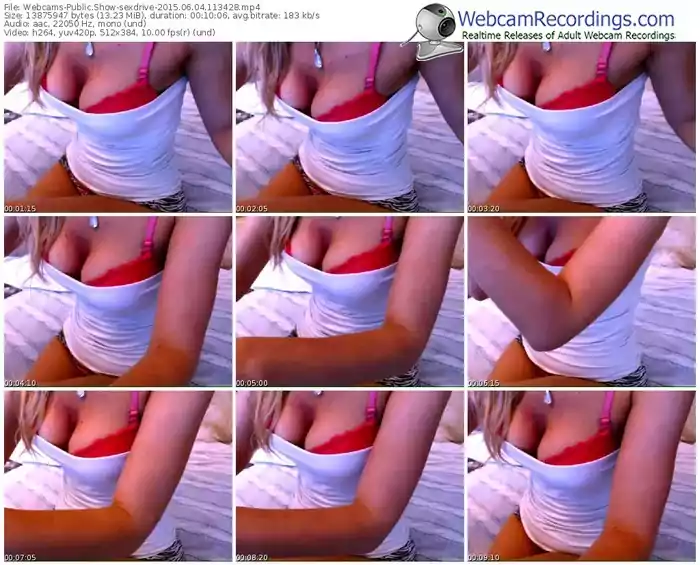 webcams-sexdrive-public-show-06_04_2015-11_34_28