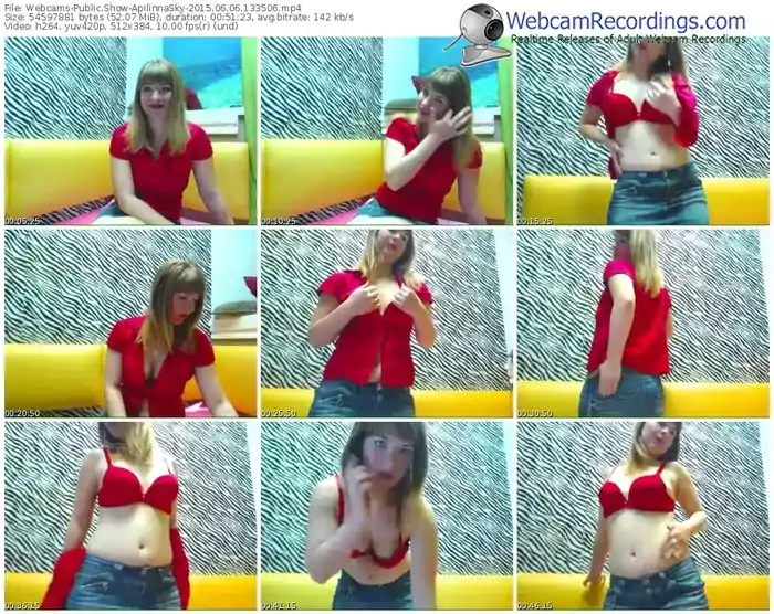 webcams-apilinnasky-public-show-06_06_2015-13_35_06