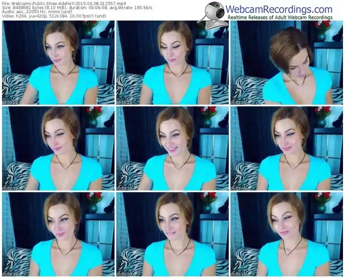 webcams-adellex-public-show-06_08_2015-01_25_57