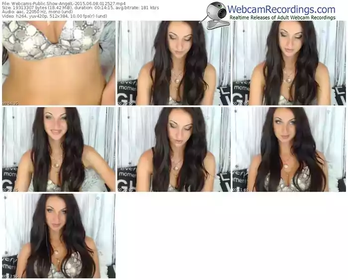 webcams-angell-public-show-06_08_2015-01_25_27