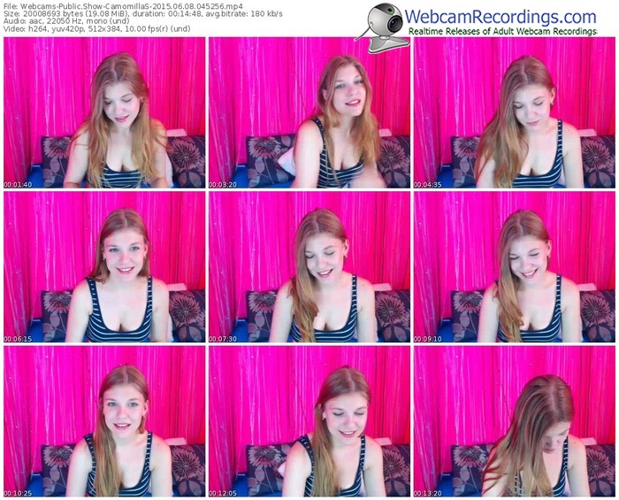 webcams-camomillas-public-show-06_08_2015-04_52_56