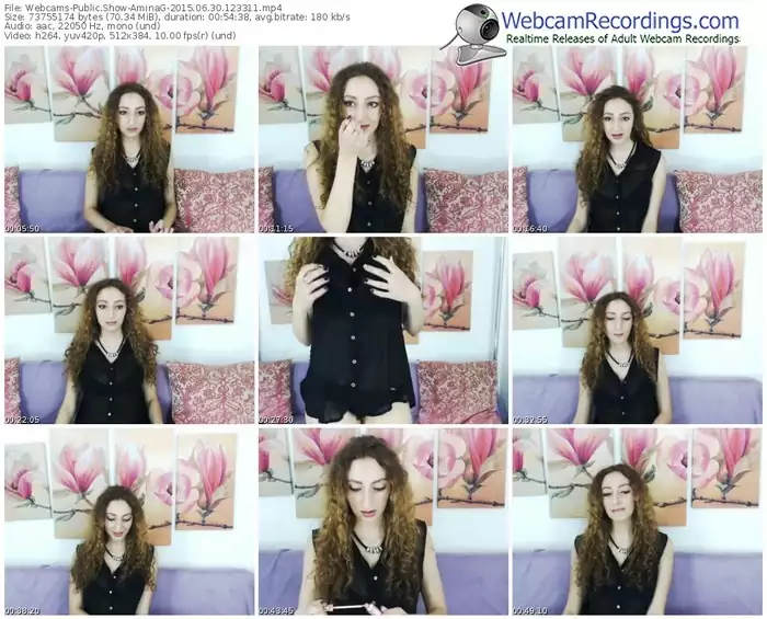 webcams-aminag-public-show-06_30_2015-12_33_11