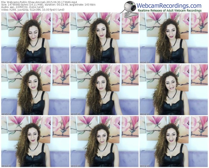 webcams-aminag-public-show-06_30_2015-17_36_49