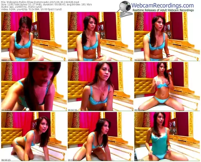 webcams-dominica4u-public-show-06_30_2015-19_24_28