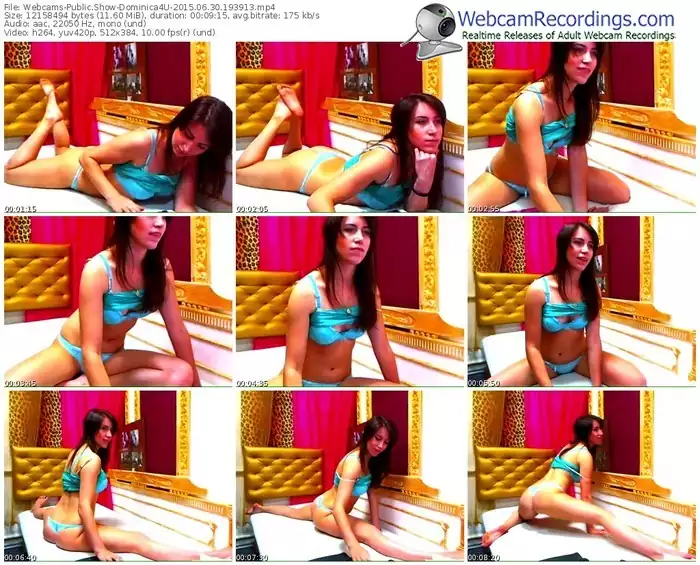 webcams-dominica4u-public-show-06_30_2015-19_39_13