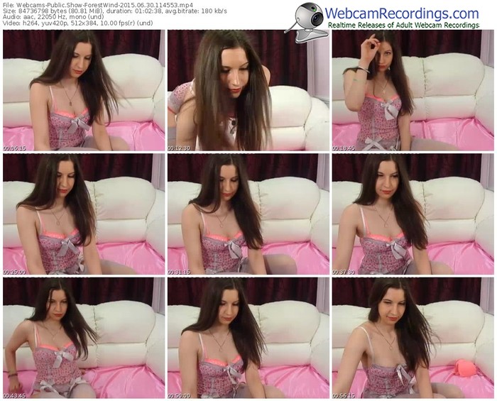 webcams-forestwind-public-show-06_30_2015-11_45_53