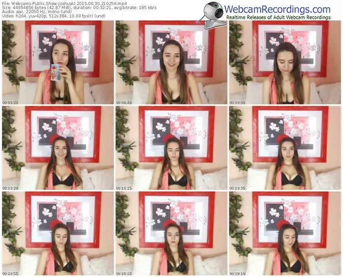 webcams-joshuau-public-show-06_30_2015-21_02_56