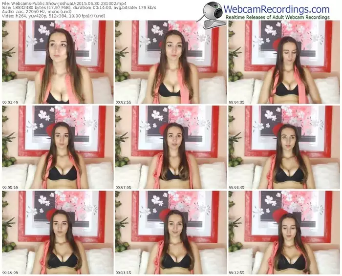 webcams-joshuau-public-show-06_30_2015-23_10_02