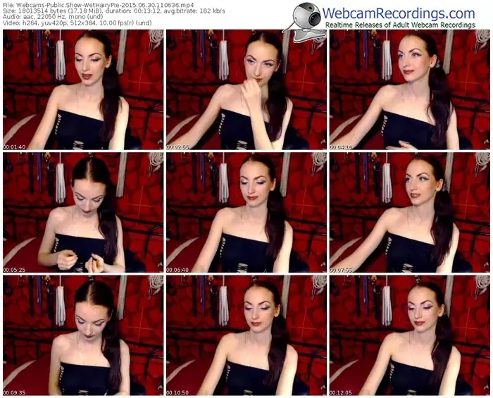 webcams-wethairypie-public-show-06_30_2015-11_06_36