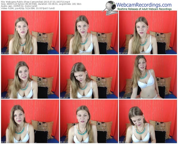 webcams-camomillas-public-show-07_01_2015-04_37_10