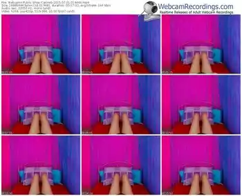 webcams-carine5-public-show-07_01_2015-01_44_46