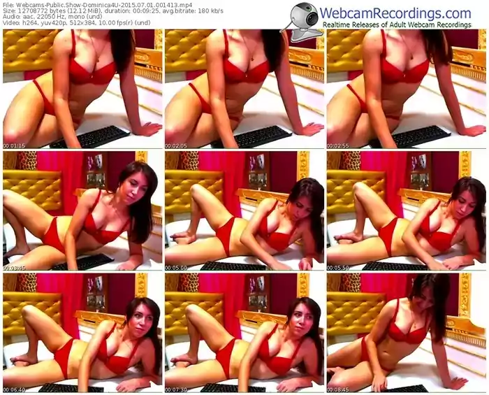 webcams-dominica4u-public-show-07_01_2015-00_14_13