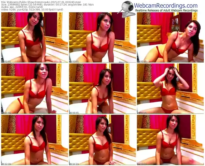 webcams-dominica4u-public-show-07_01_2015-00_32_43