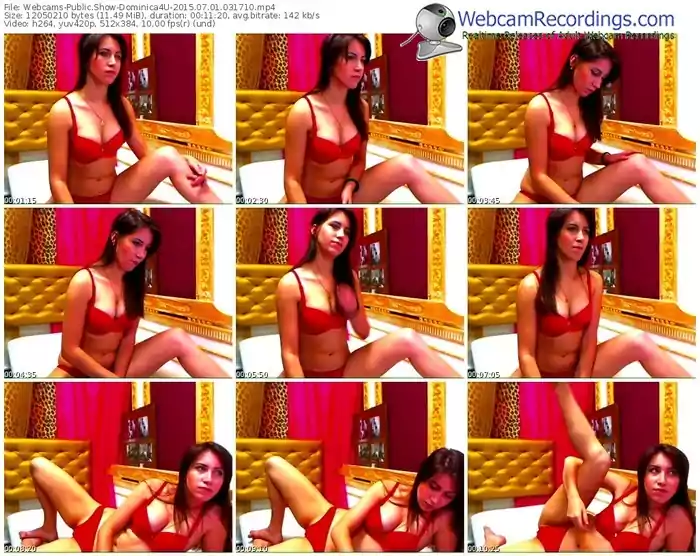 webcams-dominica4u-public-show-07_01_2015-03_17_10