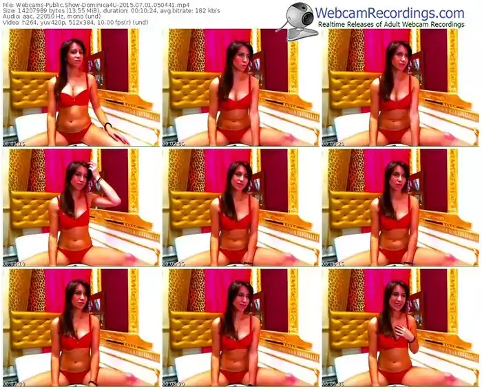 webcams-dominica4u-public-show-07_01_2015-05_04_41