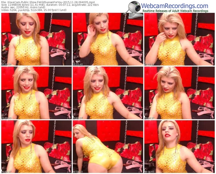 xlovecam-wildsussanforyou-webcam-show-11_28_2015-09_40_35