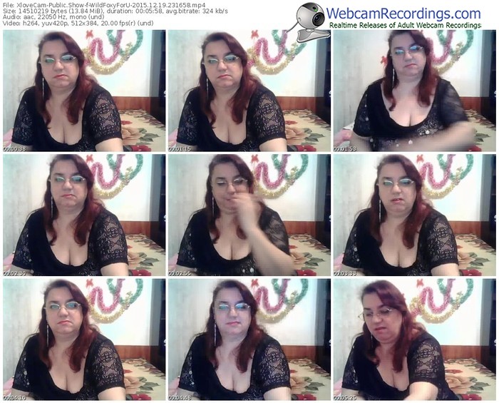 xlovecam-wildfoxyforu-webcam-show-12_19_2015-23_16_58