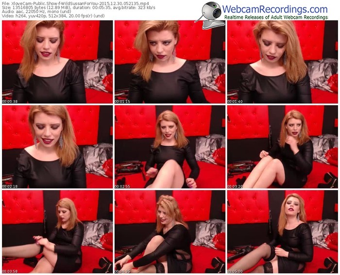 xlovecam-wildsussanforyou-webcam-show-12_30_2015-05_21_35