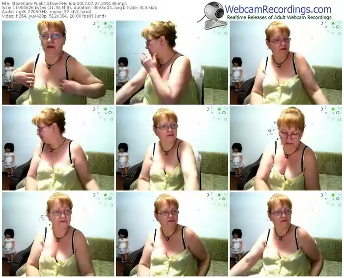 xlovecam-hyllda-webcam-show-07_27_2017-23_01_49