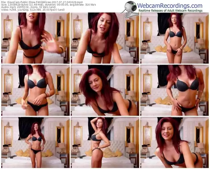 xlovecam-wildalicee-webcam-show-07_27_2017-04_16_29