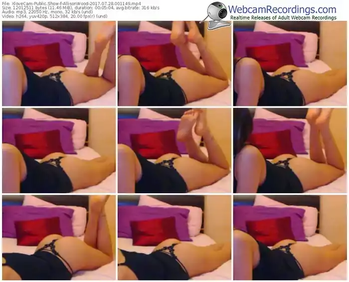 xlovecam-allisonwood-webcam-show-07_28_2017-00_11_49
