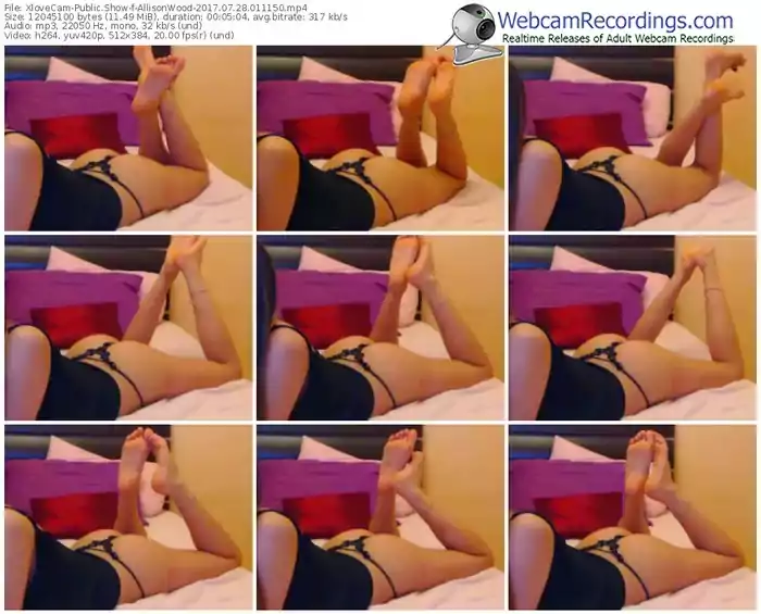 xlovecam-allisonwood-webcam-show-07_28_2017-01_11_50