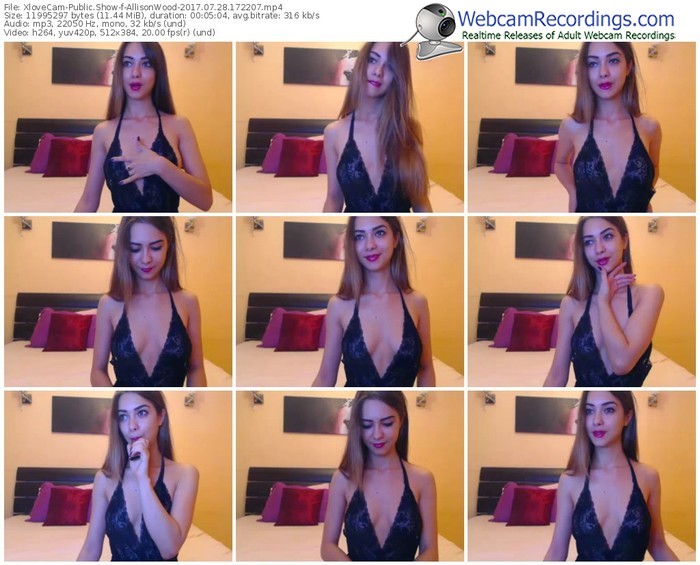 xlovecam-allisonwood-webcam-show-07_28_2017-17_22_07