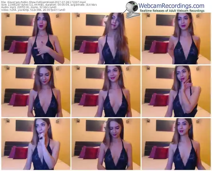 xlovecam-allisonwood-webcam-show-07_28_2017-17_22_07