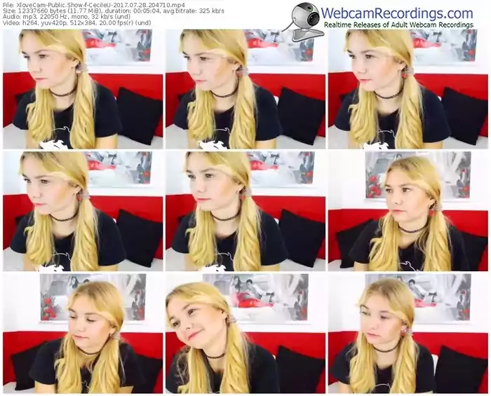 xlovecam-cecileu-webcam-show-07_28_2017-20_47_10