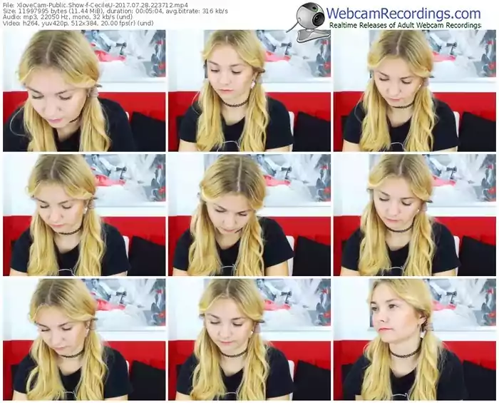 xlovecam-cecileu-webcam-show-07_28_2017-22_37_12
