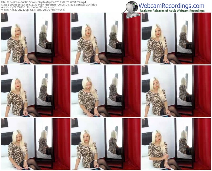 xlovecam-sophiataylor-webcam-show-07_28_2017-03_51_53
