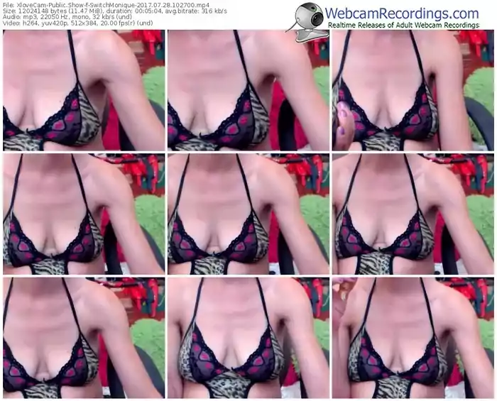 xlovecam-switchmonique-webcam-show-07_28_2017-10_27_00